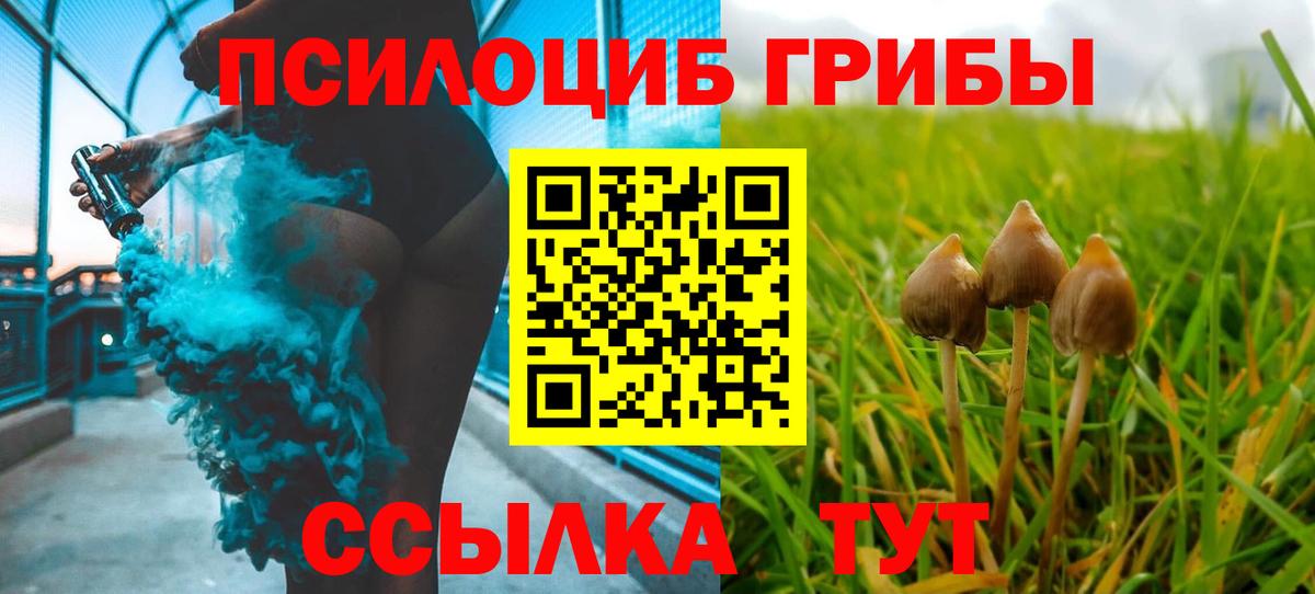 Псилоцибиновые грибы мицелий Сызрань
