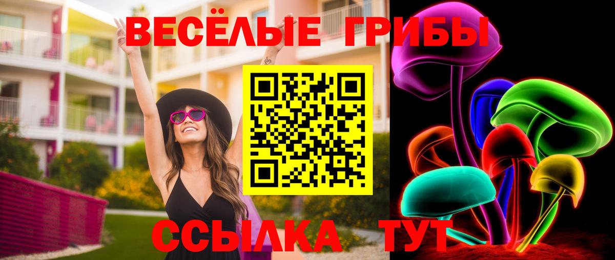 Сызрань  Галлюциногенные грибы ЛСД  Вход с VPN 